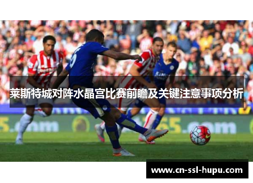 莱斯特城对阵水晶宫比赛前瞻及关键注意事项分析