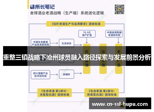 重整三镇战略下沧州球员融入路径探索与发展前景分析