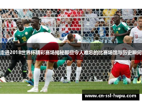 走进2018世界杯精彩赛场揭秘那些令人难忘的比赛场馆与历史瞬间 走进2018世界杯精彩赛场揭秘那些令人难忘的比赛场馆与历史瞬间
