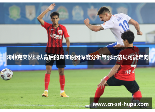 陶菲克突然退队背后的真实原因深度分析与羽坛格局可能走向