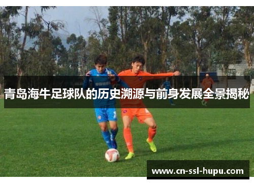 青岛海牛足球队的历史溯源与前身发展全景揭秘