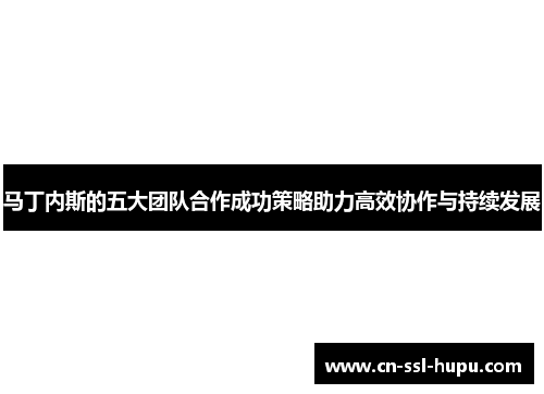 马丁内斯的五大团队合作成功策略助力高效协作与持续发展