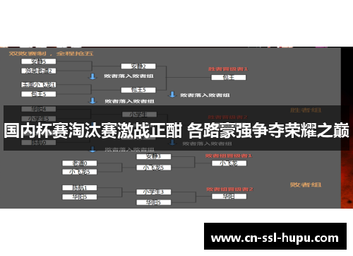 国内杯赛淘汰赛激战正酣 各路豪强争夺荣耀之巅 国内杯赛淘汰赛激战正酣 各路豪强争夺荣耀之巅