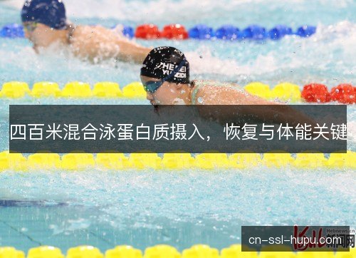 四百米混合泳蛋白质摄入，恢复与体能关键
